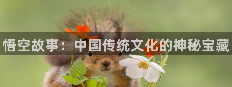 沐鸣注册：悟空故事：中国传统文化的神秘宝藏
