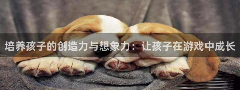 沐鸣娱乐账号怎么注册