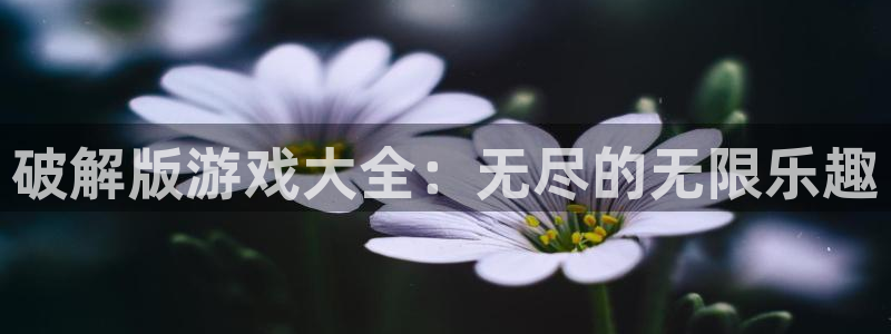 沐鸣Ii