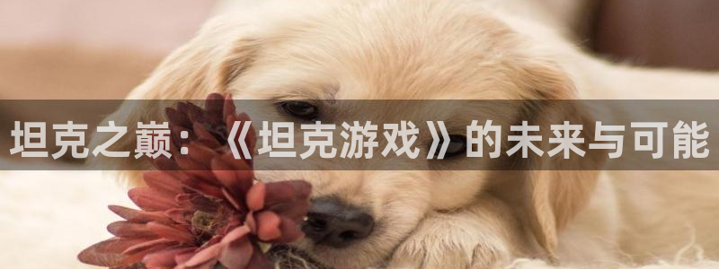 沐鸣娱乐是干嘛的