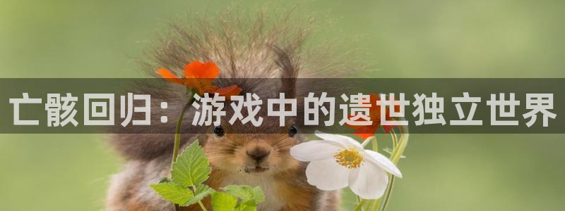 沐鸣注册网站是什么：亡骸回归：游戏中的遗世独立世界