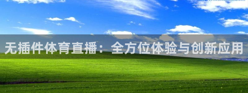 飞速体育直播在线观看：无插件体育直播：全方位体验与创新应用