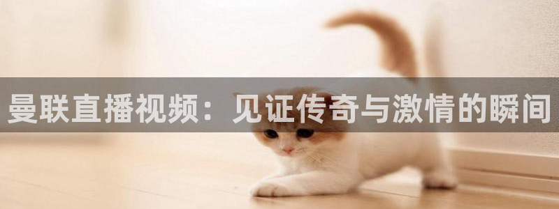 飞速体育免费直播