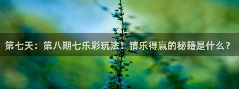飞速看球直播