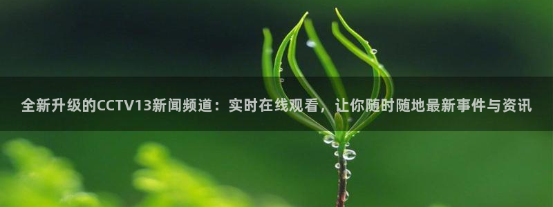 飞速体育直播\'：全新升级的CCTV13新闻频道：实时在线观看，让你随时随地最新事件与资讯